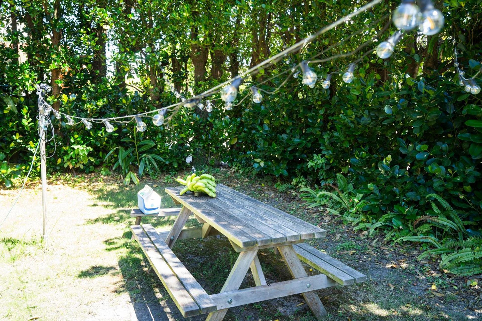 フクギに囲まれた家 さばんぎ沖縄古民家 Savangi Okinawan Designed Folk House Nakijin Luaran gambar